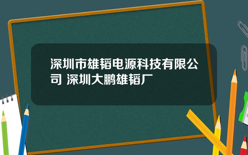 深圳市雄韬电源科技有限公司 深圳大鹏雄韬厂